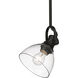Hines 1 Light 6.88 inch Matte Black Mini Pendant Ceiling Light